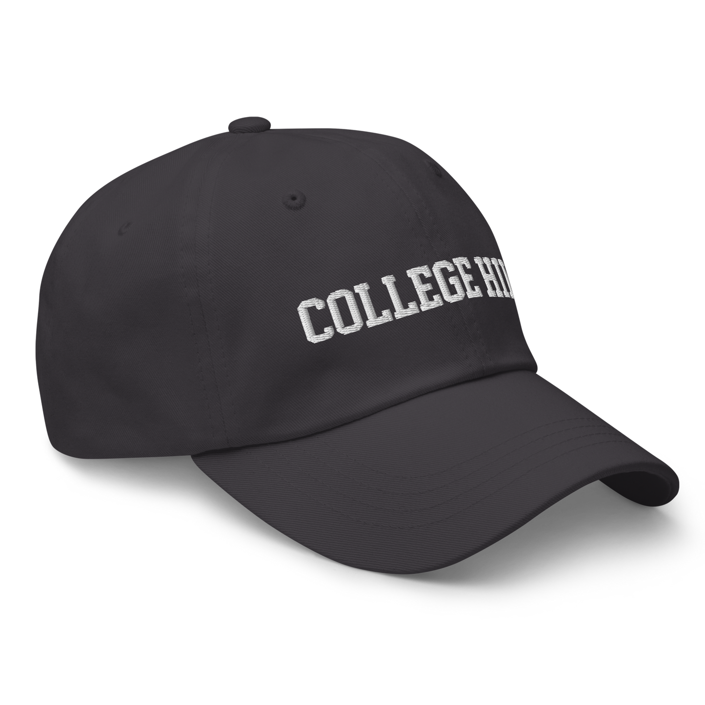 College Hill Dad hat
