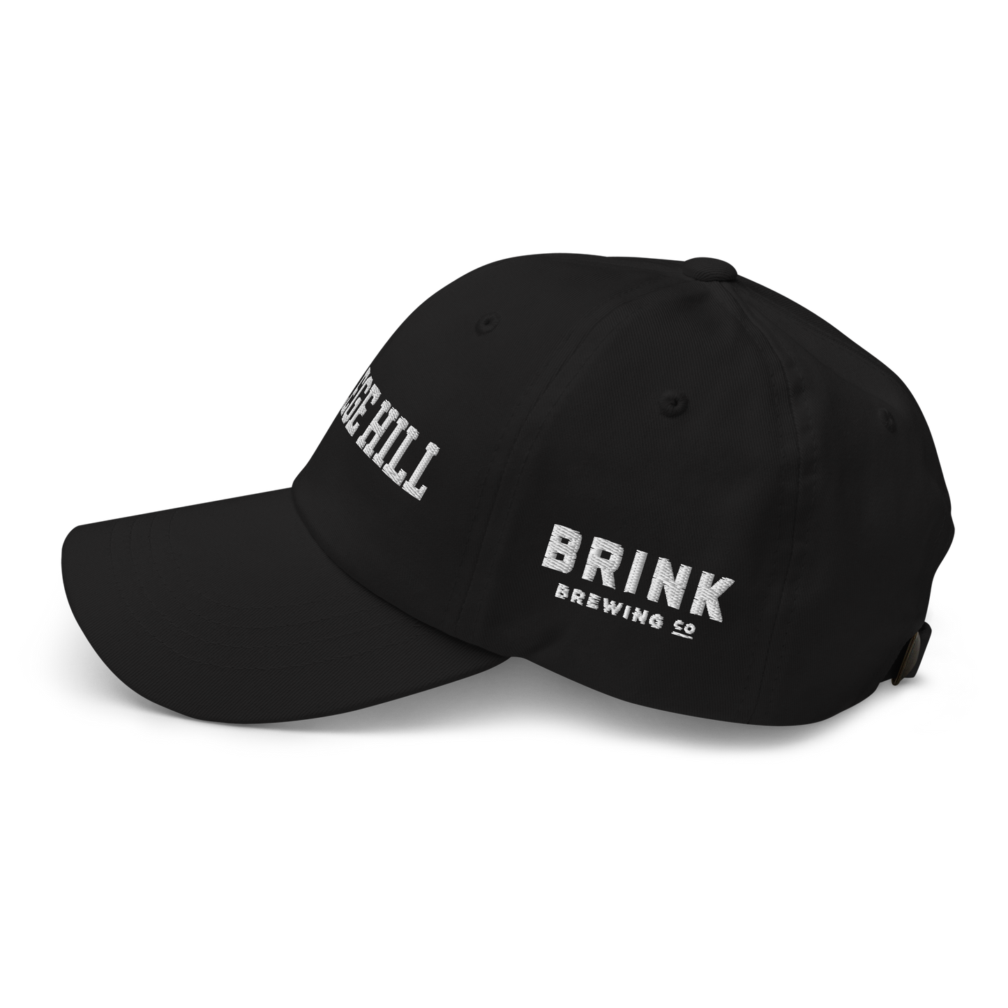 College Hill Dad hat