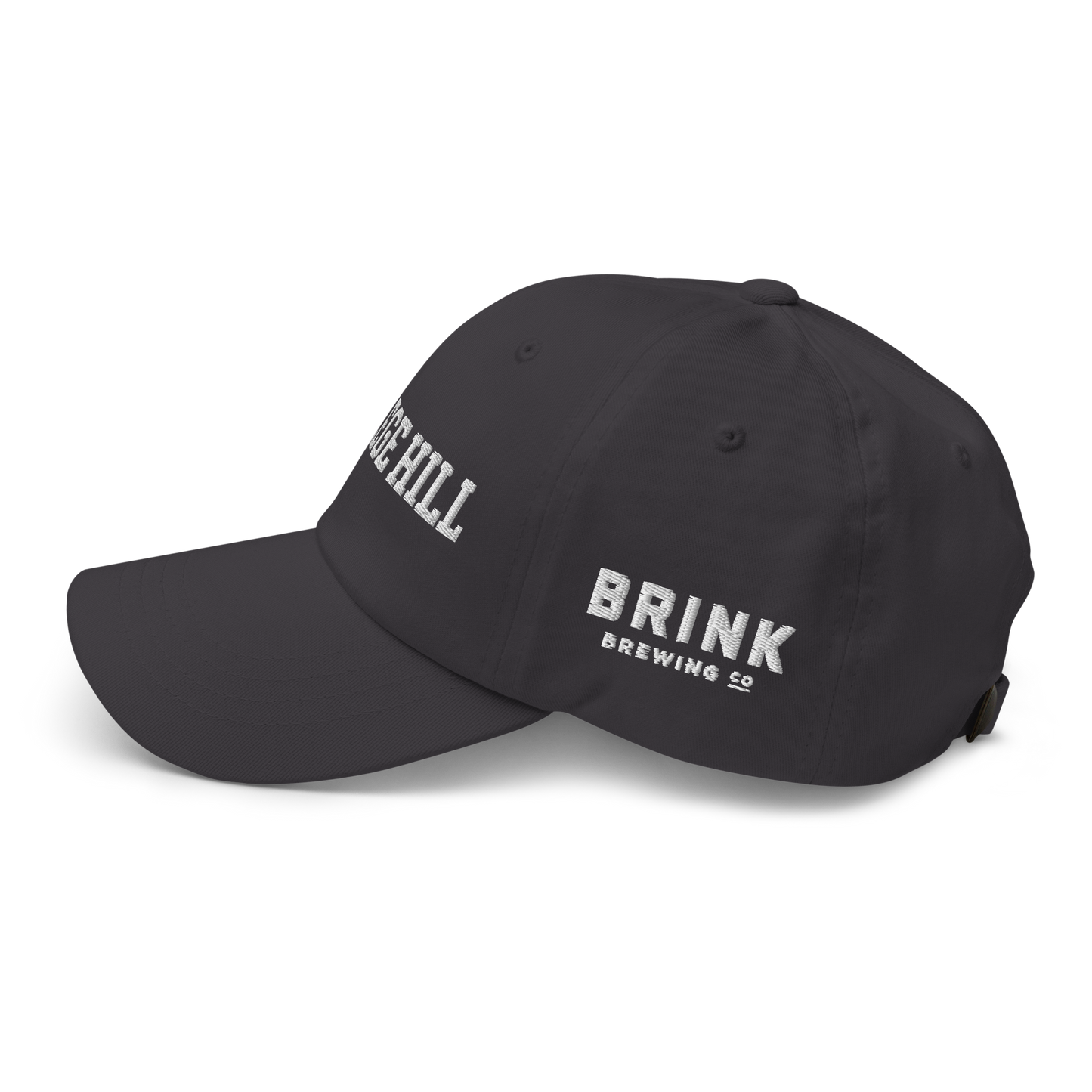 College Hill Dad hat