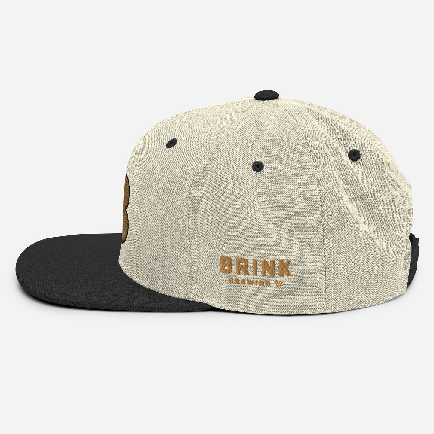 Faux Retro Snapback Throwback